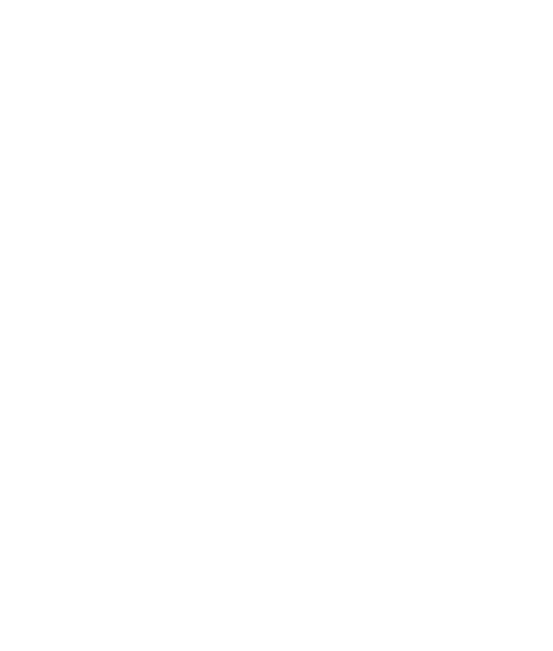 Tripadvisor Travellers Choice Award